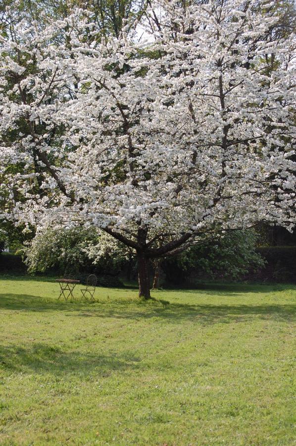 Gite Dans Un Domaine Historique 谢夫勒斯 外观 照片